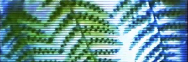 gradeeterna Profile Banner