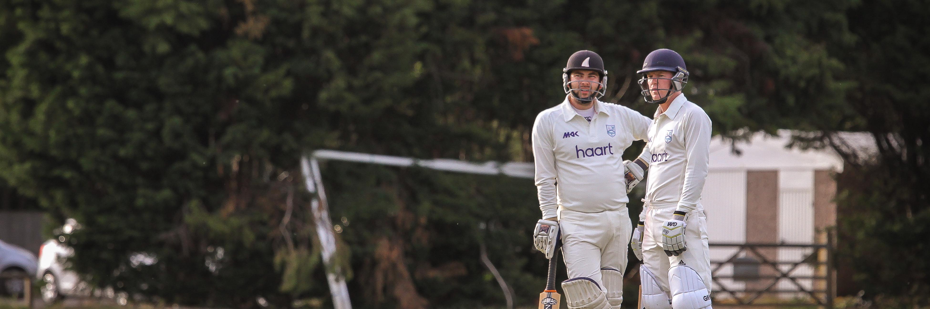 Dulwich Cricket Club banner