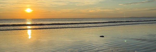 vaswani_ Profile Banner