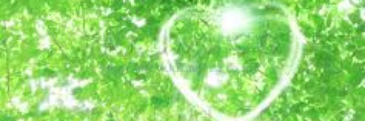 MIMARI8's profile banner image