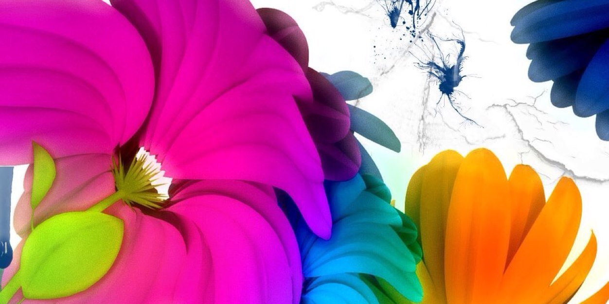 JaidaLi's profile banner image