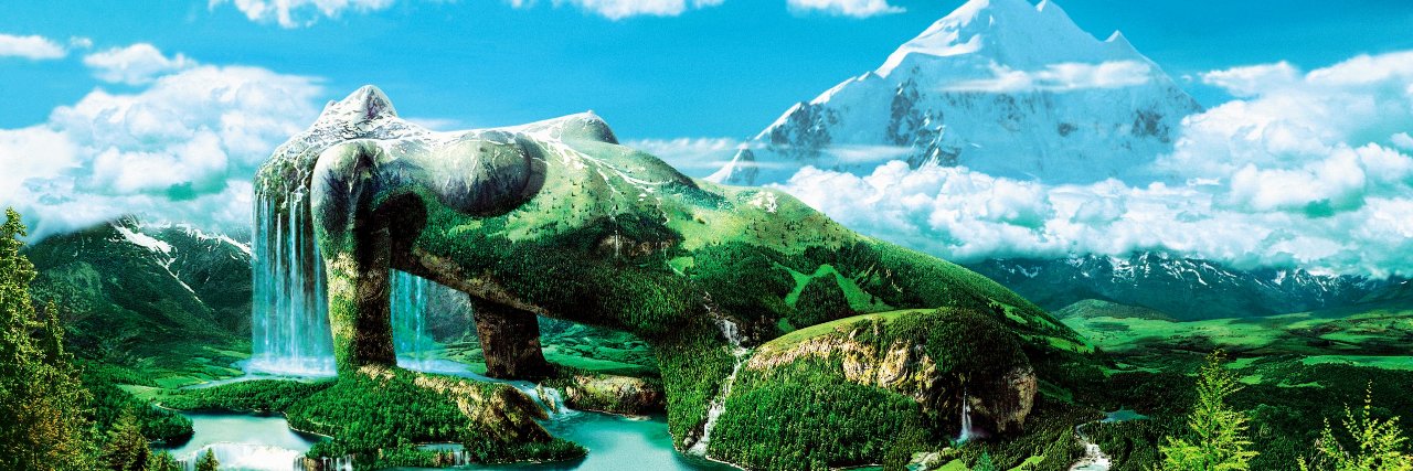 Kedea74's profile banner image
