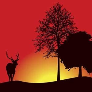 Reid_Johnson21's profile banner image