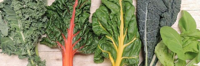 nutrigabyp's profile banner image