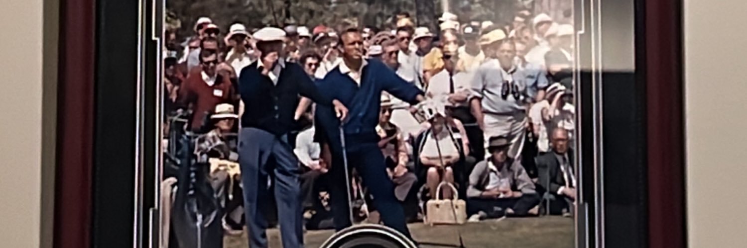 TheDownfall banner