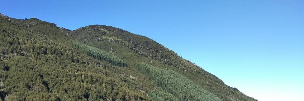 salulloar's profile banner image