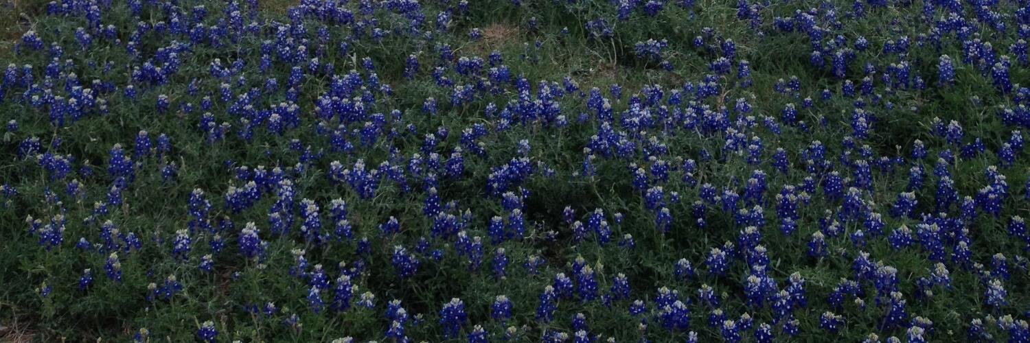 Heather Cassity banner