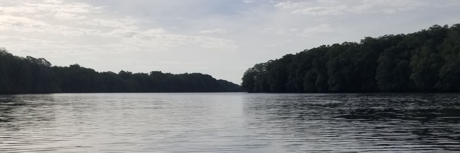 mcastro2020's profile banner image