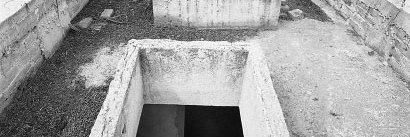 Caitlin Lee banner