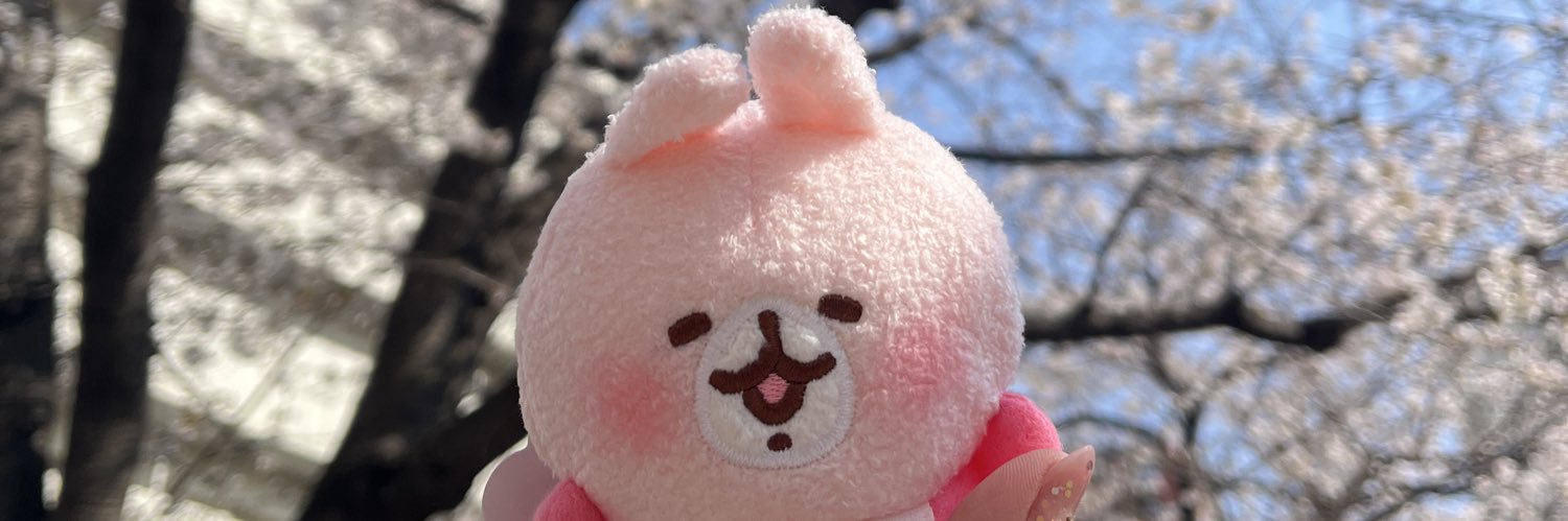 ☆チョノ☆(｡･ω･｡)ﾉ♡ NuChon banner