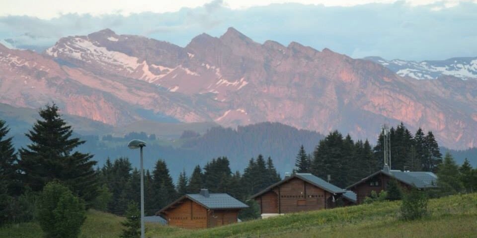 glanidi's profile banner image
