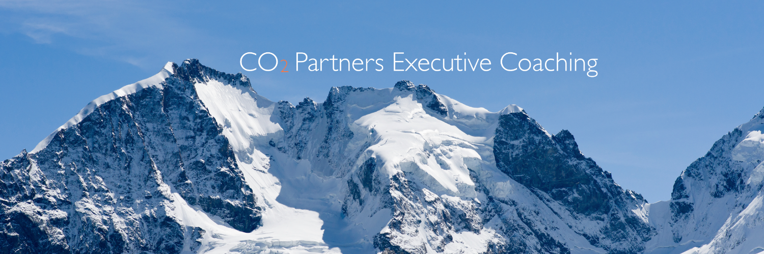 CEO Executive Coach banner