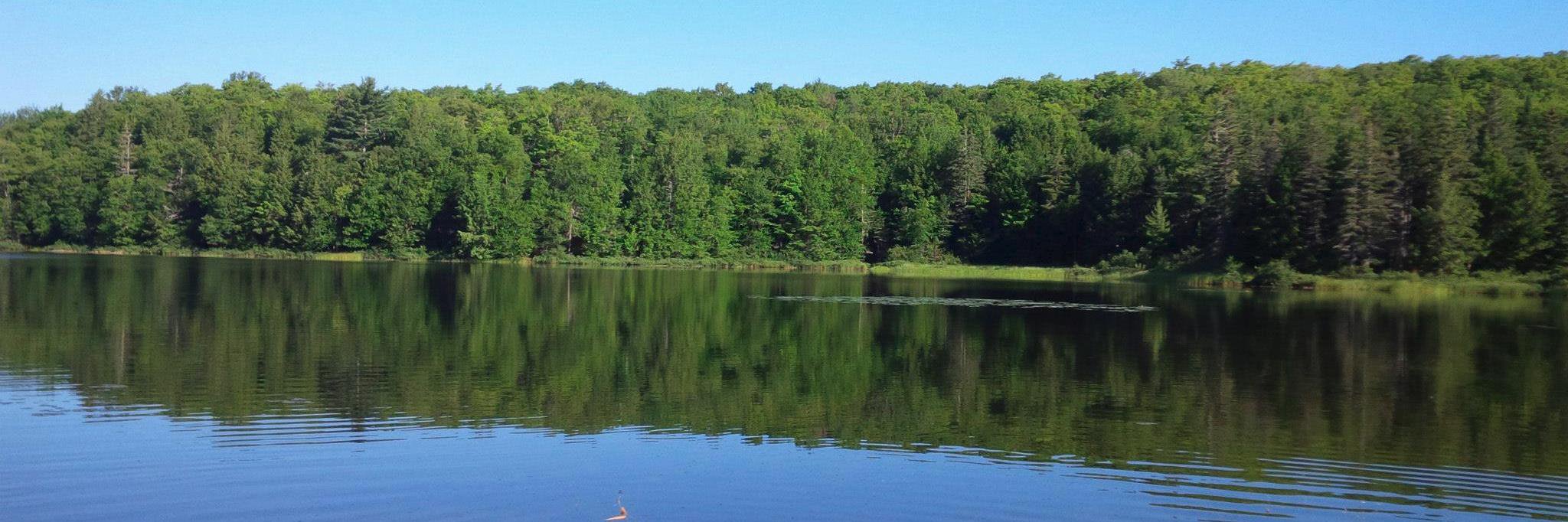 Bill Melanson banner