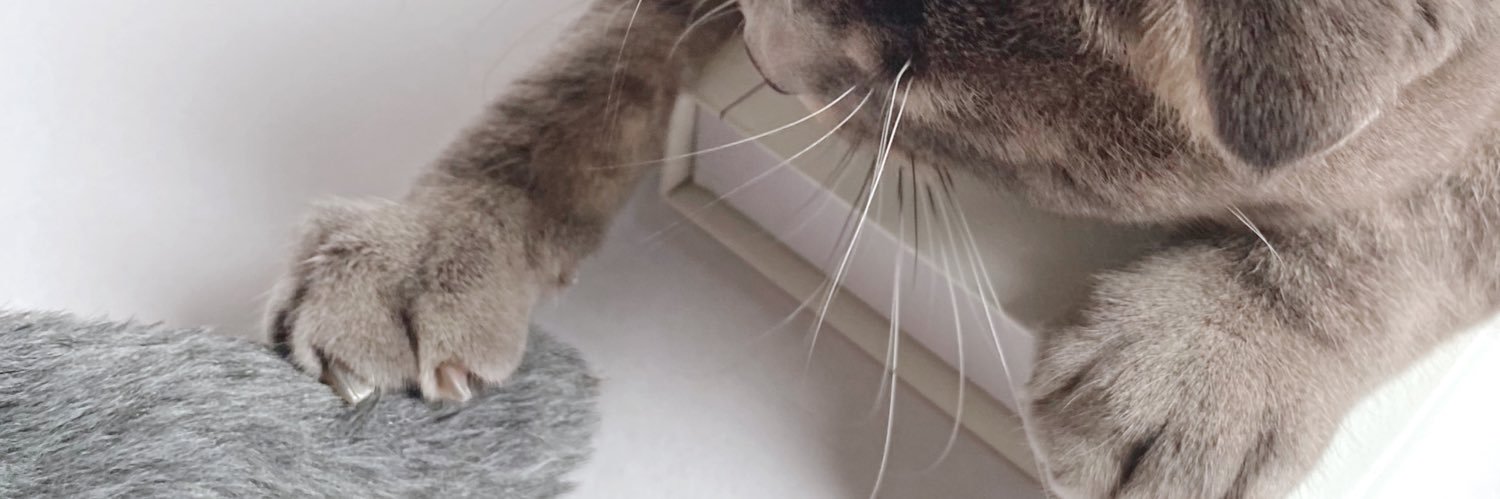 AouiBag's profile banner image