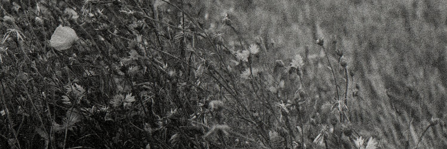 Aryo Feldman banner