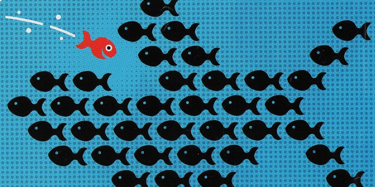 David Davidovic banner