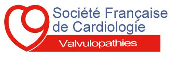 SFCvalves Profile Banner