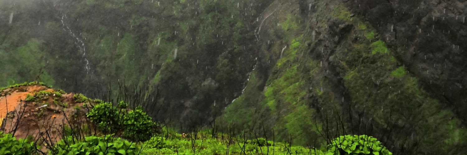 viveksays2's profile banner image