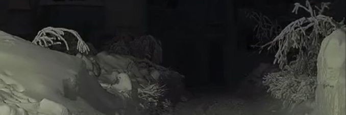 deadorganicbody's profile banner image