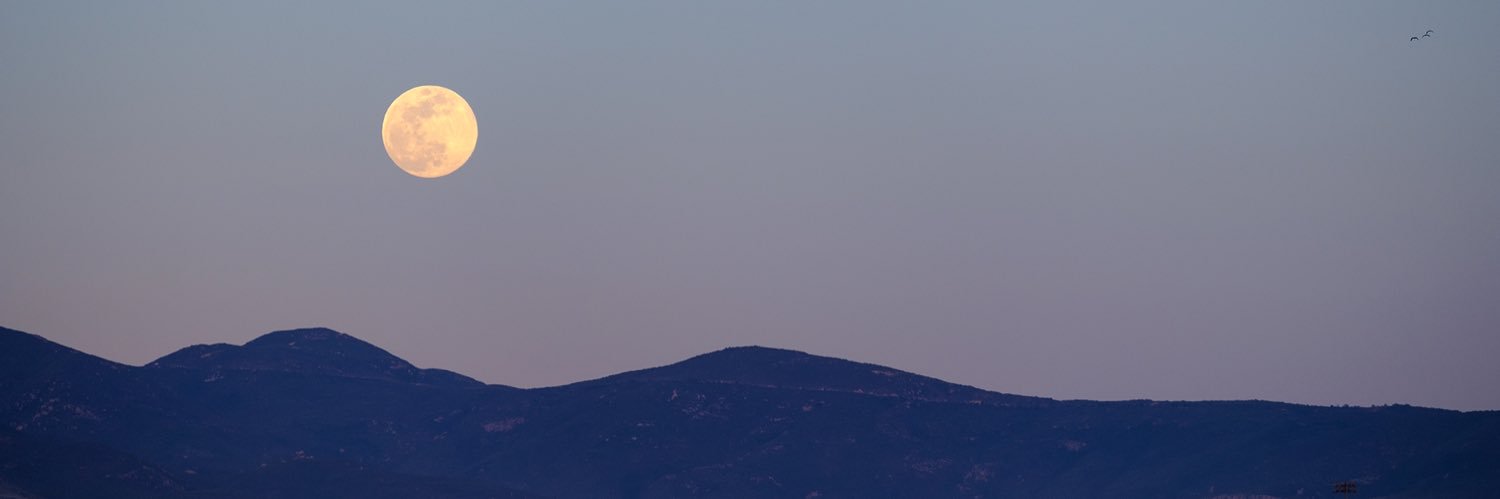 bsharp_'s profile banner image