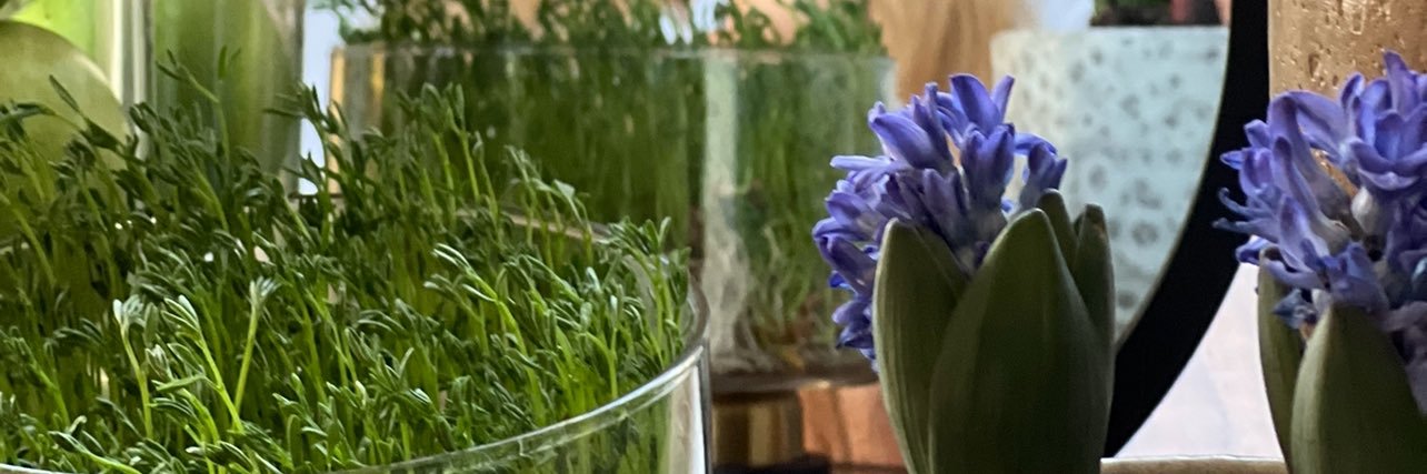 Metamorphosa🫧 banner