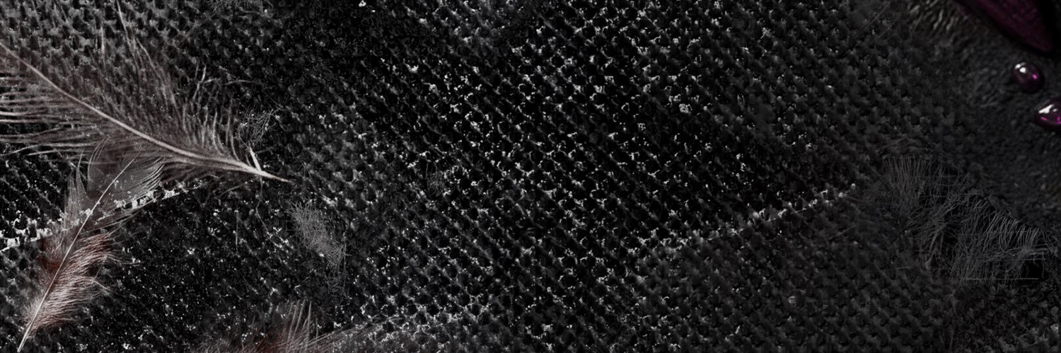 wibzedd banner