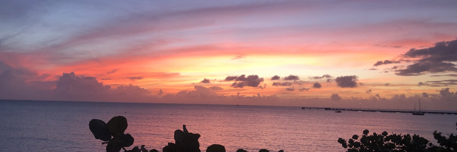 annfchen's profile banner image
