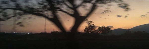 mereophecore Profile Banner