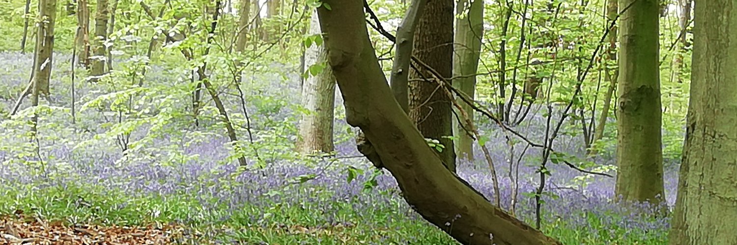 AdventuringAng1's profile banner image