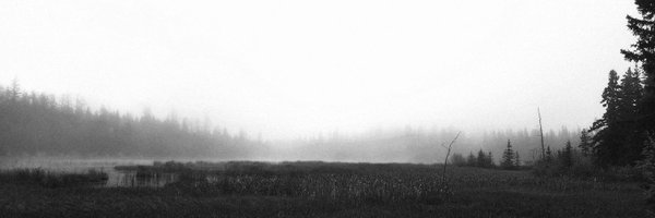 hjelfrost Profile Banner