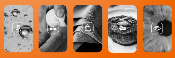 BSF_Enterprise Profile Banner