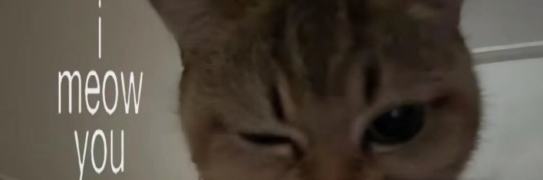 ฅᨐฅ banner