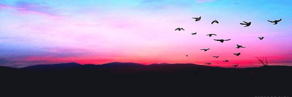 baa_coments Profile Banner