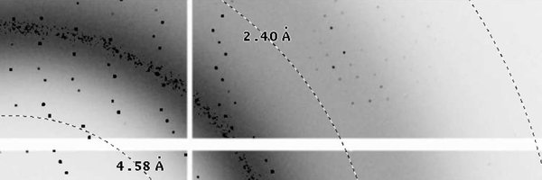 JHoltonMADSci Profile Banner