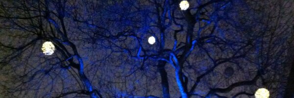 llafaye Profile Banner