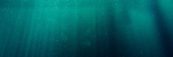 restoreseas Profile Banner