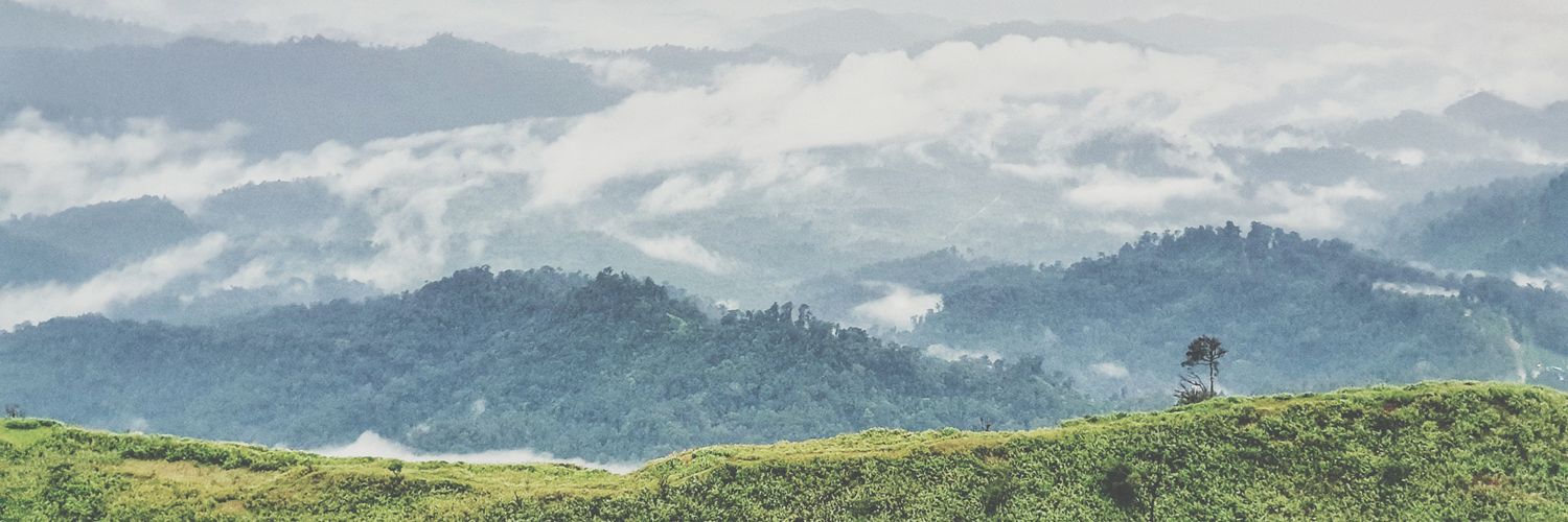 Akkarist's profile banner image