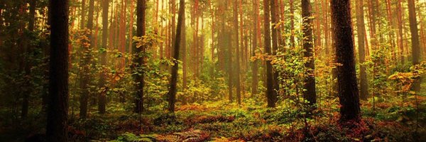 mcgroarty Profile Banner