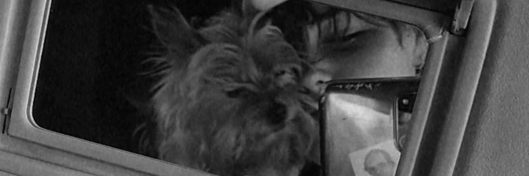reyesitass's profile banner image