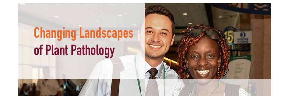 Sally Mallowa banner