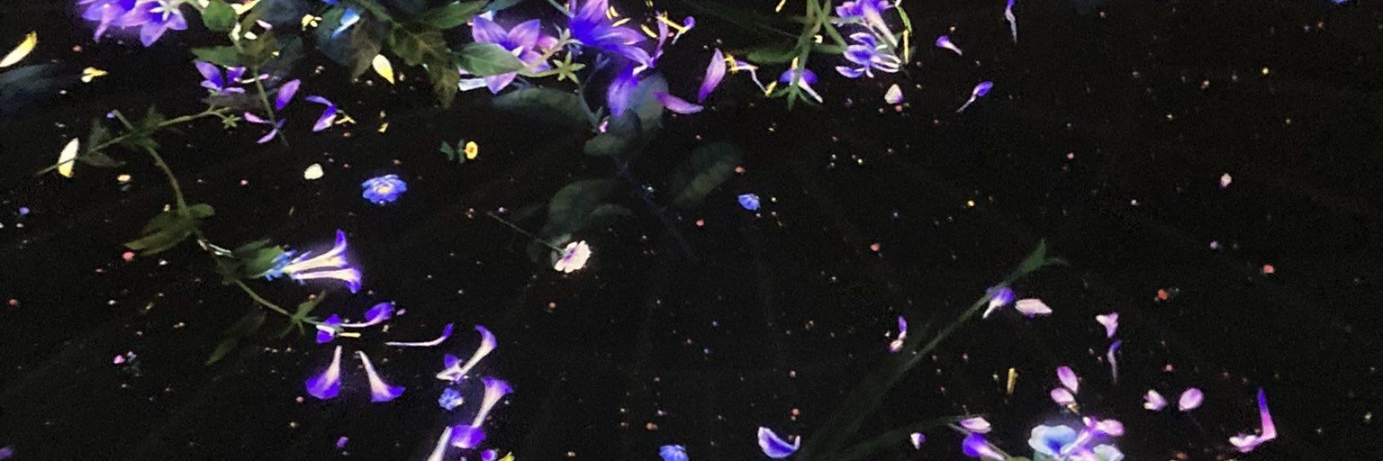 Doxxxj's profile banner image