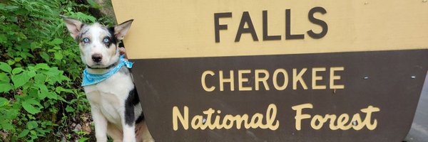 BryceChoate Profile Banner