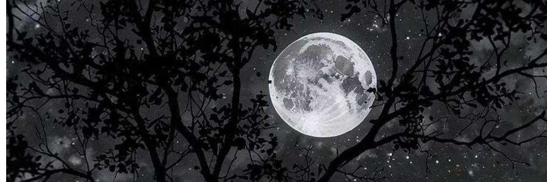 YgnCt11's profile banner image