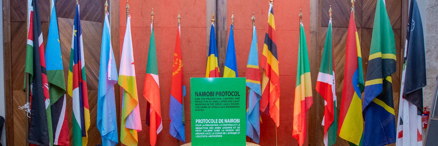 Regional Center on Small Arms banner