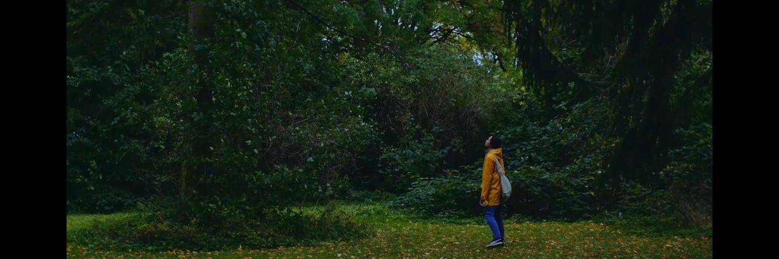 AutumnPalmate's profile banner image