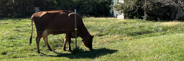 hytrek_staci Profile Banner