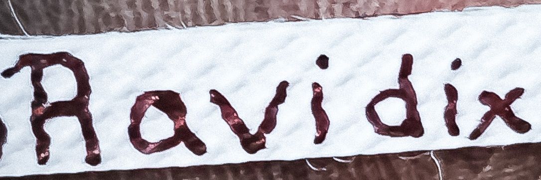 Ravidix21's profile banner image