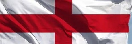 Susan pearson banner