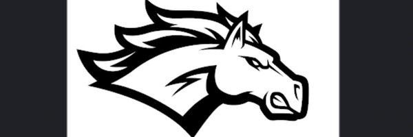 RMHSBOYSXCTF Profile Banner