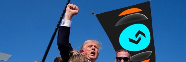 Crypto_Shoi Profile Banner